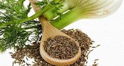 خواص گیاه رازیانه + فیلم