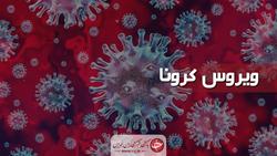 آیا وزیر بهداشت استعفا کرده است؟ + فیلم