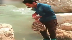 حرکت جالب گربه ماهیان مرجانی برای محافظت از جان خود + فیلم