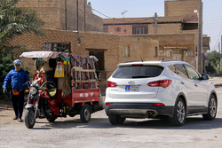 شاد زیر درخت بلوط