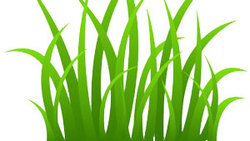 ساخت تصفیه کننده آب در کمتر از یک دقیقه + فیلم