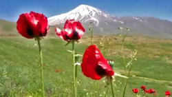 اسرارآمیزترین پارک طبیعی اسپانیا + فیلم