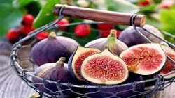روش استخراج چلغوز از طبیعت + فیلم