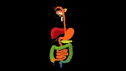 نکاتی درباره دستگاه گوارش + فیلم