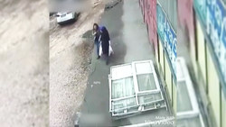 کشته شدن یک پیرمرد به دست سگ + فیلم