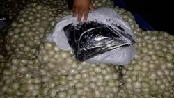 وضعیت بازار میوه و تره بار + فیلم