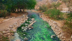 افسر پلیسی که سارق از آب درآمد + فیلم