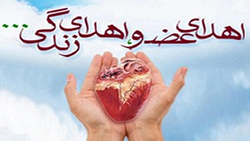 خواسته‌های جالب مردم ۶ تا ۶۰ ساله از چراغ جادو + فیلم