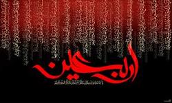شور حسینی در حرم سیدالشهدا (ع) + فیلم