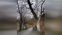 دوچرخه‌ای خاص با سرعت ۱۴۰ کیلومتر بر ساعت + فیلم