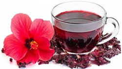 برداشت چای ترش - روستا علوه شهرستان کارون