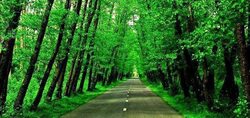 بارش برف در نخستین روز از آذر ۹۹ + فیلم