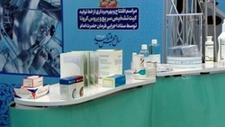 پس از بهبود یافتن بیماران کرونایی باید چگونه با آن‌ها رفتار کنیم؟ + فیلم