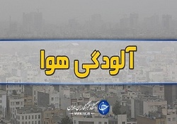 تهران خاکستری