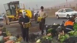 اقدام شجاعانه پلیس برای دستگیری راننده متخلف + فیلم