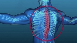 چگونگی تامین امنیت روانی و اجتماعی در دوران کرونا + فیلم