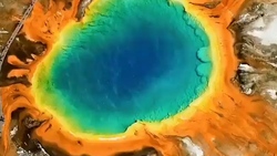 دانستنی‌هایی درباره حیات وحش + فیلم