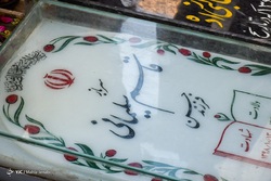حضور عاشقان سردار دلها در کرمان