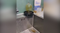 میخ چگونه ساخته می‌شود؟ + فیلم