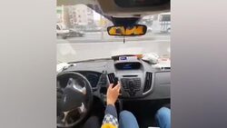 انجام حرکات ورزشی توسط یک طوطی + فیلم