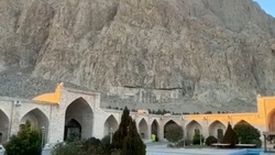 عاقبت شوخی یک طوطی با گربه + فیلم