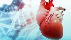 علائم سکته قلبی را بشناسید + فیلم