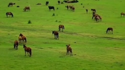 روستای ابیانه یکی از بلند‌ترین نقاط مسکونی ایران + فیلم