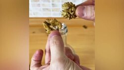 آشنایی با خواص گردو + فیلم