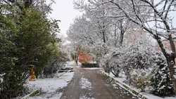 مهارت یک کودک در رانندگی و پارک دوبل + فیلم
