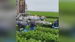 ساخت بالن با ماسک و کبریت + فیلم