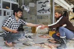 یک روز کاری با صیاد گیلانی