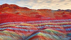 خیار دریایی، جانوری خزنده‌ + فیلم