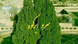 یکی از گنجینه‌های ملی ژاپن را بشناسید + فیلم