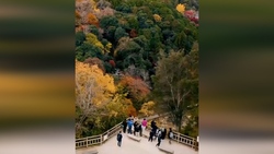 وقتی پول پای پسر ۱۲۶ کیلویی مالک باشگاه را به زمین فوتبال باز می‌کند + فیلم