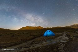 دنیای شگفت انگیز ذره بینی