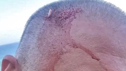 حمله برق آسای کوسه به نهنگ شبیه سازی شده + فیلم