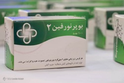 مراسم روز ملی جمهوری اندونزی
