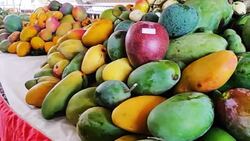 آموزش بستنی انبه خانگی + فیلم