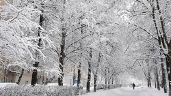 ساخت مجسمه‌های چندش آور توسط یک هنرمند ژاپنی + فیلم