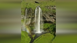 پرش فوق‌العاده کوسه هنگام شکار + فیلم
