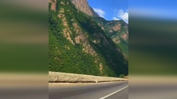 پرش فوق‌العاده کوسه هنگام شکار + فیلم