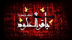 کربلا سیاه‌پوش شد + فیلم