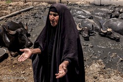خشکی تالاب گاو خونی منشأ ریز گرد‌ها و آلودگی هوا‌ی استان اصفهان