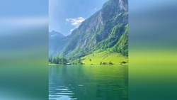 تفریحی بسیار جالب در ژاپن + فیلم