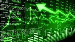 هرآنچه برای خرید ربع سکه در بورس باید بدانید! + فیلم