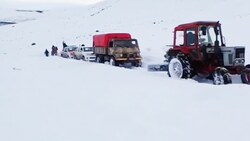 صحنه دردناک گربه یخ زده در برف + فیلم