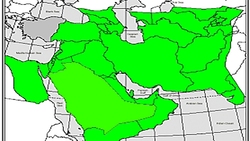 نماهنگ عقد آسمانی امیرالمومنین (ع) و حضرت زهرا (س)