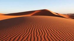 دفاع یک غزال از فرزندش در برابر شغال سمج + فیلم