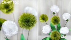 بهره وری از گل زیبایی که با کم آبی سازگار است + فیلم