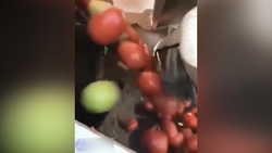 وسیله‌ای جذاب برای کودکان با کاربردهای متنوع + فیلم